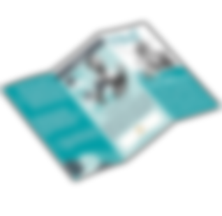 Flyer "Vital5"
